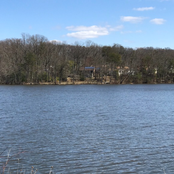 Meet your Posher, Chamisa - Picture 1 of 1